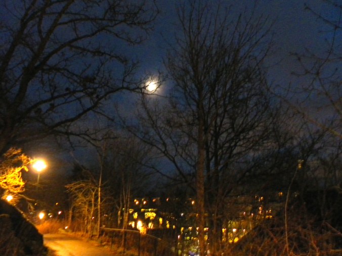 SAMSUNG DIGITAL CAMERA