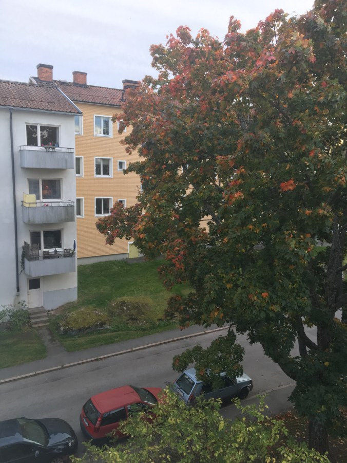 foto-2016-10-06-17-16-19