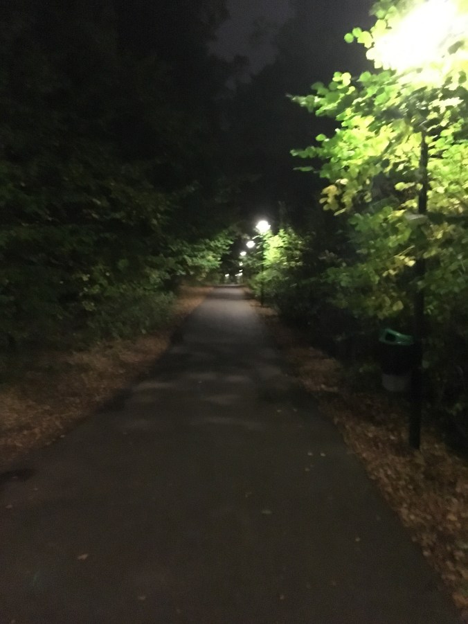 foto-2016-10-11-18-51-05