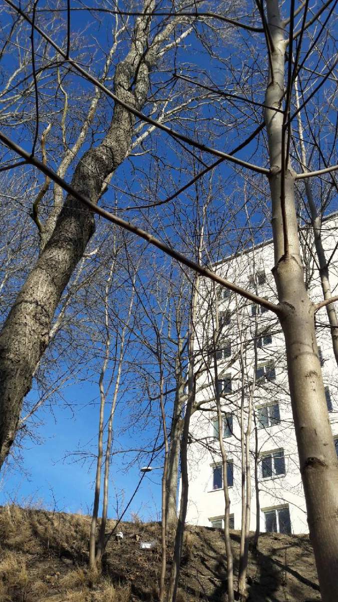 Foto 2017-04-07 14 41 50