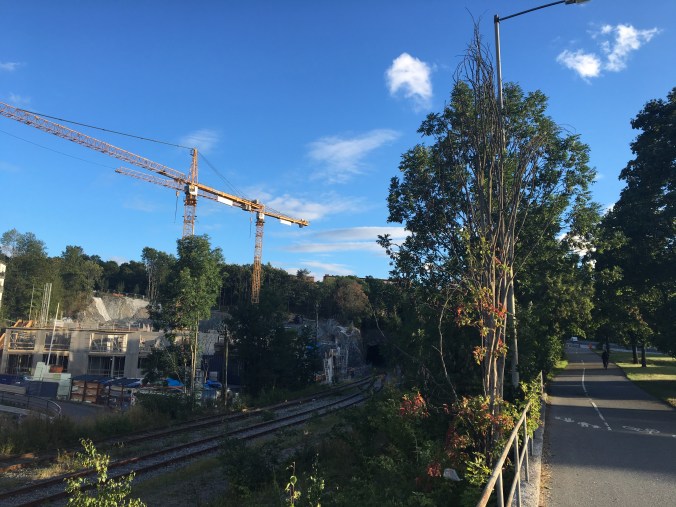 Foto 2016-08-08 19 17 31