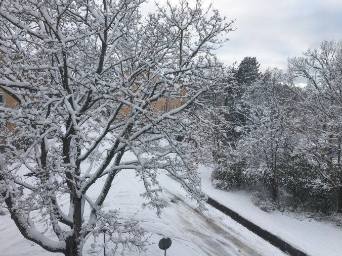 Foto 2017-11-21 12 52 07