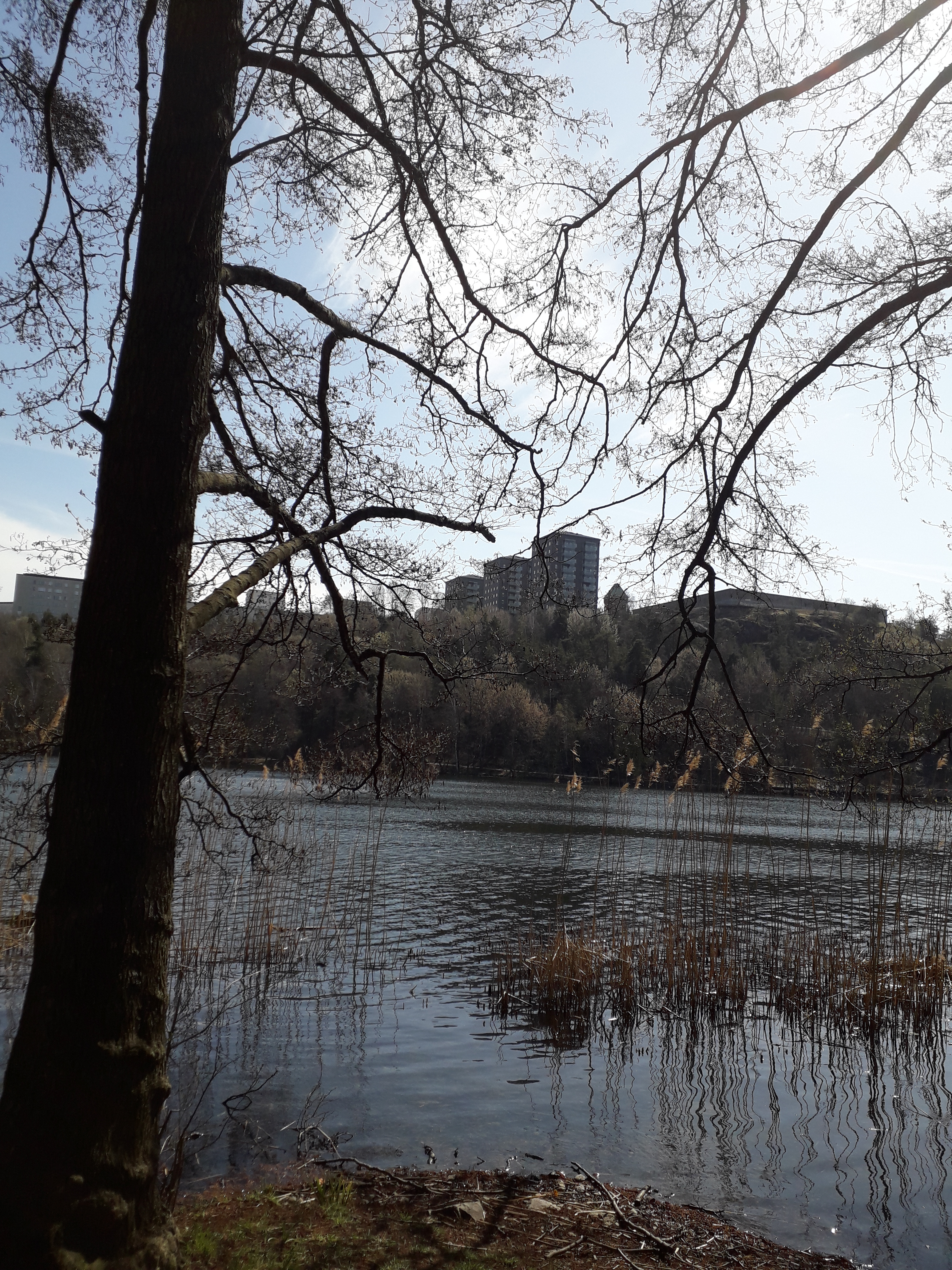20190421_135102